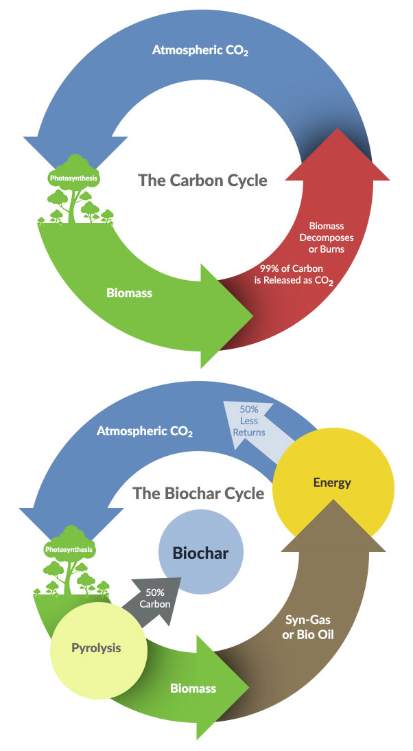 Biochar carbon cycle diagram